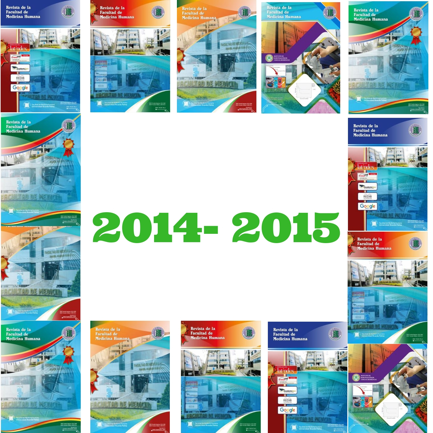 					View Vol. 15 No. 2 (2015): Revista de la Facultad de Medicina Humana
				