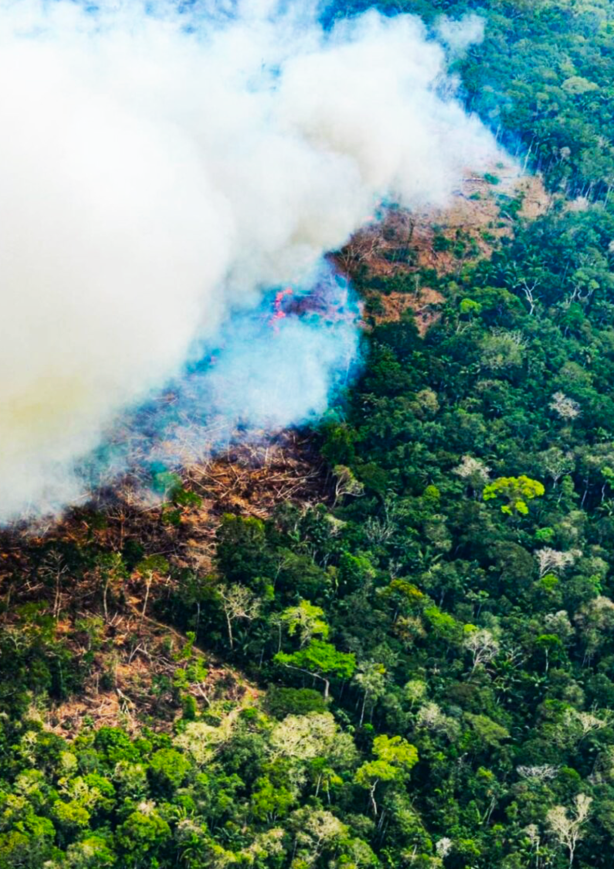 Fotografía de deforestación en la Amazonía Peruana. Imagen extraída de radiozapatista.org